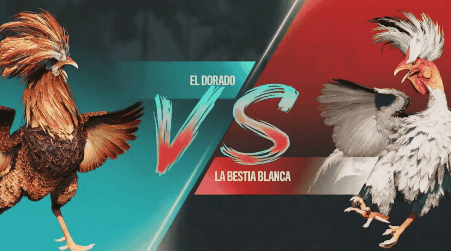 199w cassino VideoJogos